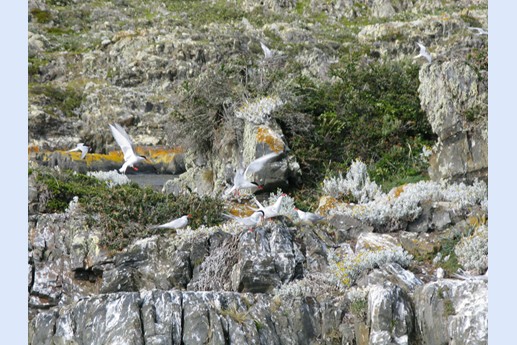 Viaggio in Argentina 2010